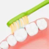 Dr. Baek 20102 Ultra‑Soft PBT Toothbrush Set